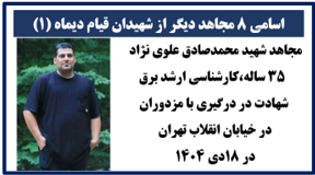 ۸ شهید دیگر قیام